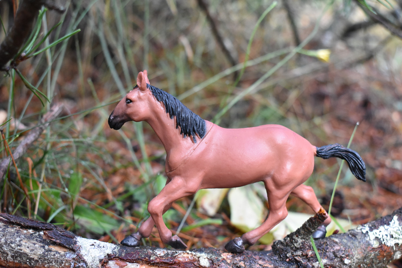 Horse, Plastic Toy Animal, Realistic Figure, Farm Model, Barnyard Replica, Kids Educational Gift 6"  F256 B207