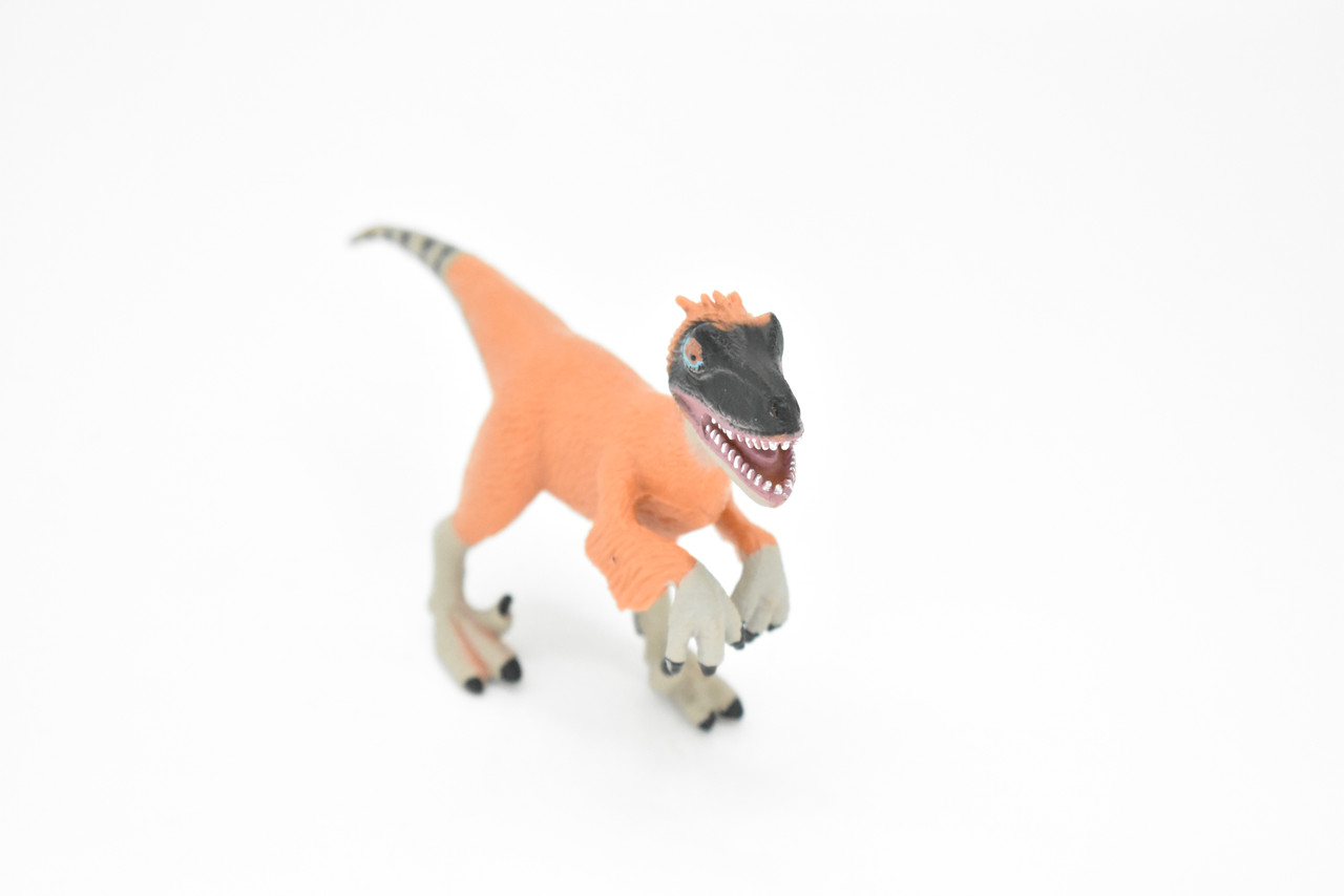 Velociraptor Dinosaur, Museum Quality Plastic Replica    6"     F3052-B2