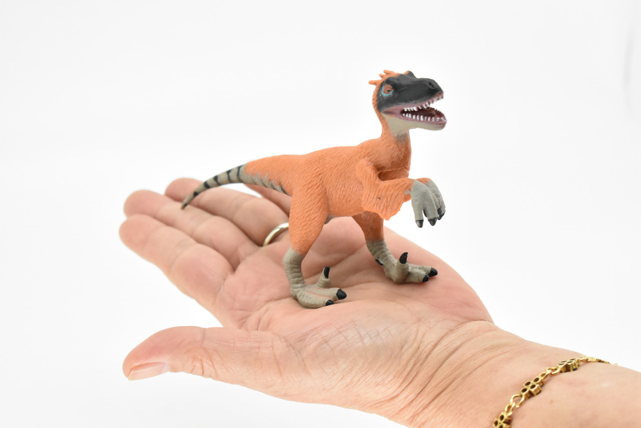 Velociraptor Dinosaur, Museum Quality Plastic Replica    6"     F3052-B2