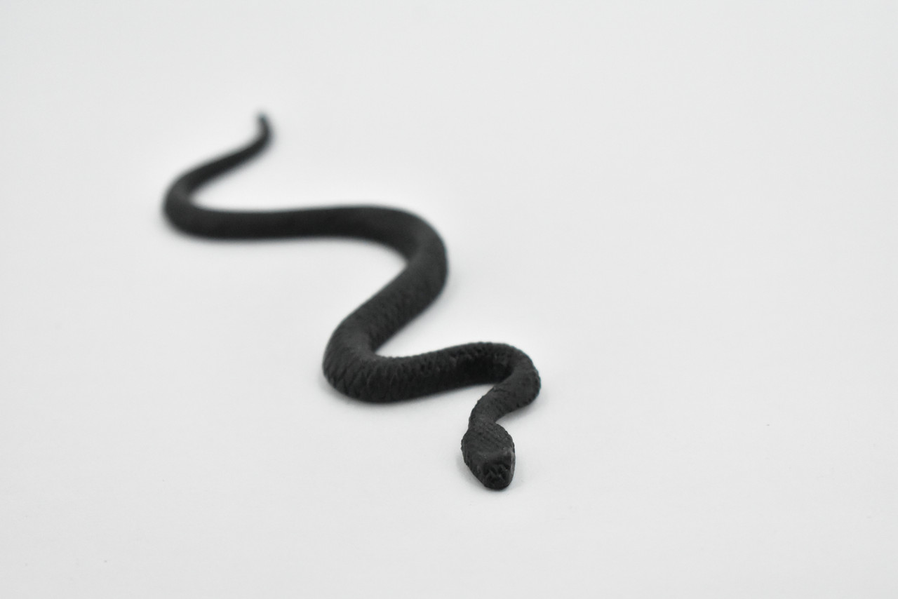 North American Racer, Snake, Rubber Reptile, Educational, Realistic Hand Painted, Figure, Lifelike Model, Figurine, Replica, Gift,    4 1/2 Inches.     F3050 B364  
