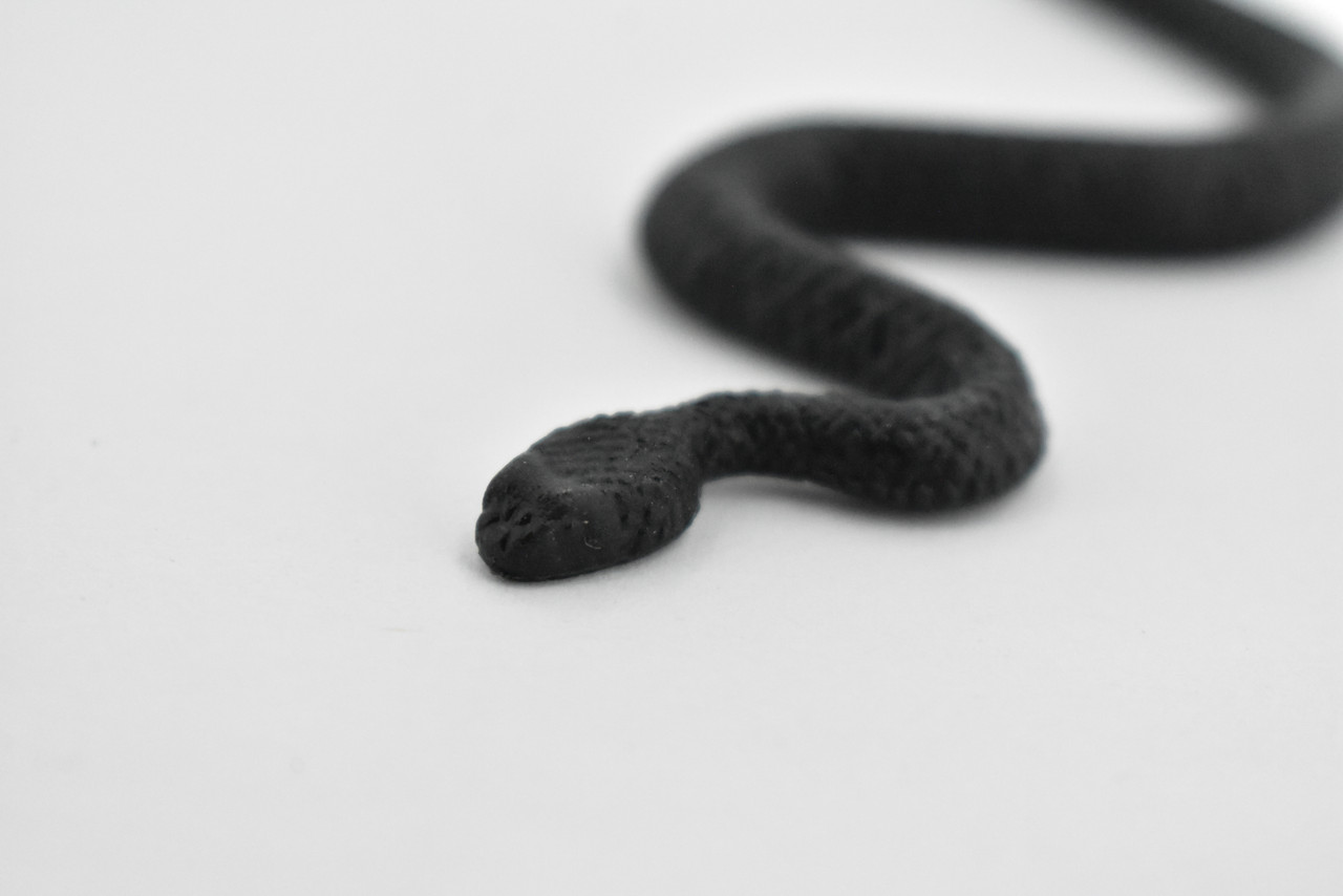 North American Racer, Snake, Rubber Reptile, Educational, Realistic Hand Painted, Figure, Lifelike Model, Figurine, Replica, Gift,    4 1/2 Inches.     F3050 B364  