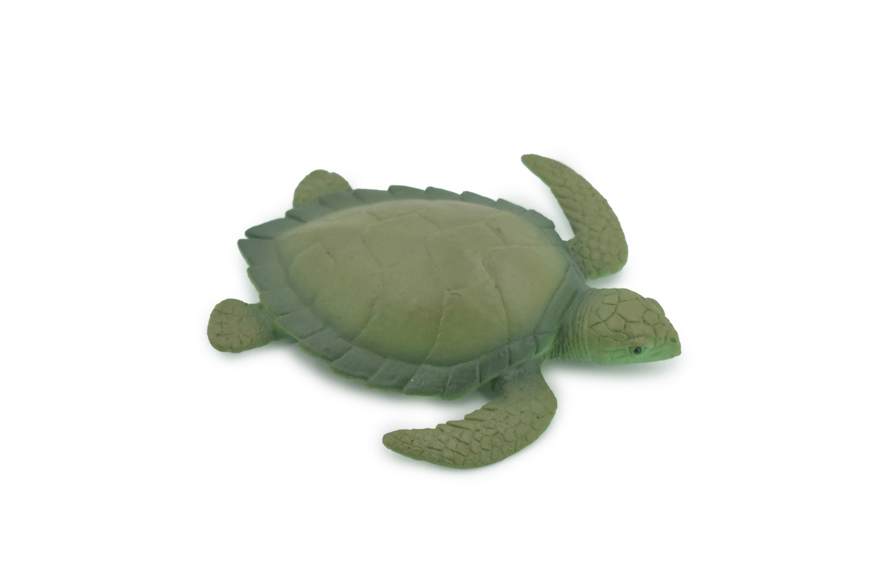 Sea Turtle, Two Tone Color, High Quality, Hand Painted, Rubber Reptile, Realistic, Figure, Model, Toy, Kids, Educational, Gift,     3 3/4"      F6003 B377