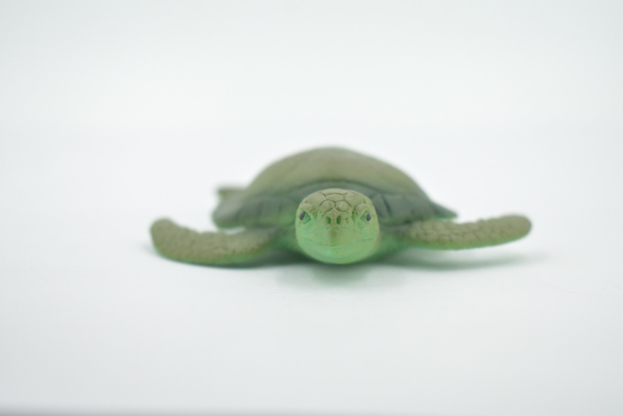 Sea Turtle, Two Tone Color, High Quality, Hand Painted, Rubber Reptile, Realistic, Figure, Model, Toy, Kids, Educational, Gift,     3 3/4"      F6003 B377