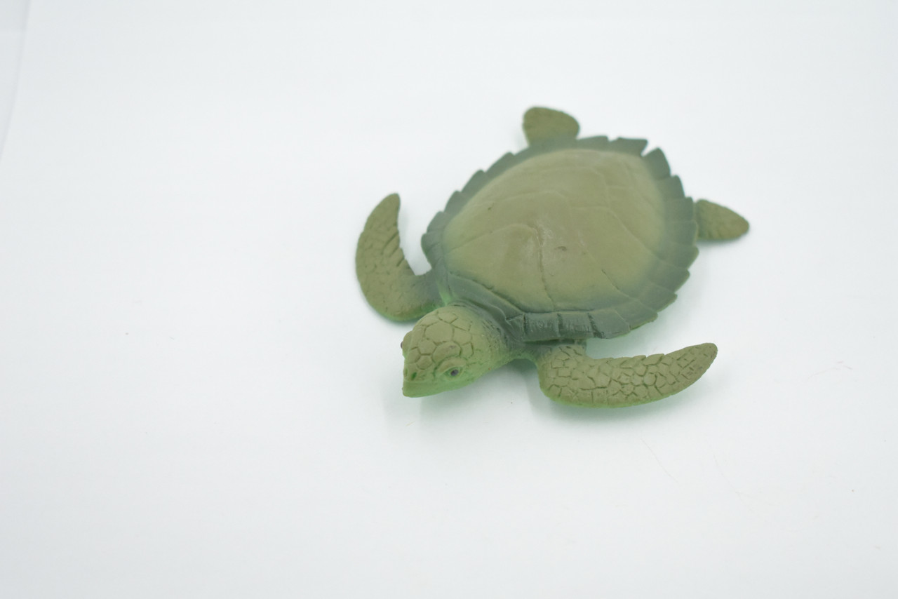 Sea Turtle, Two Tone Color, High Quality, Hand Painted, Rubber Reptile, Realistic, Figure, Model, Toy, Kids, Educational, Gift,     3 3/4"      F6003 B377