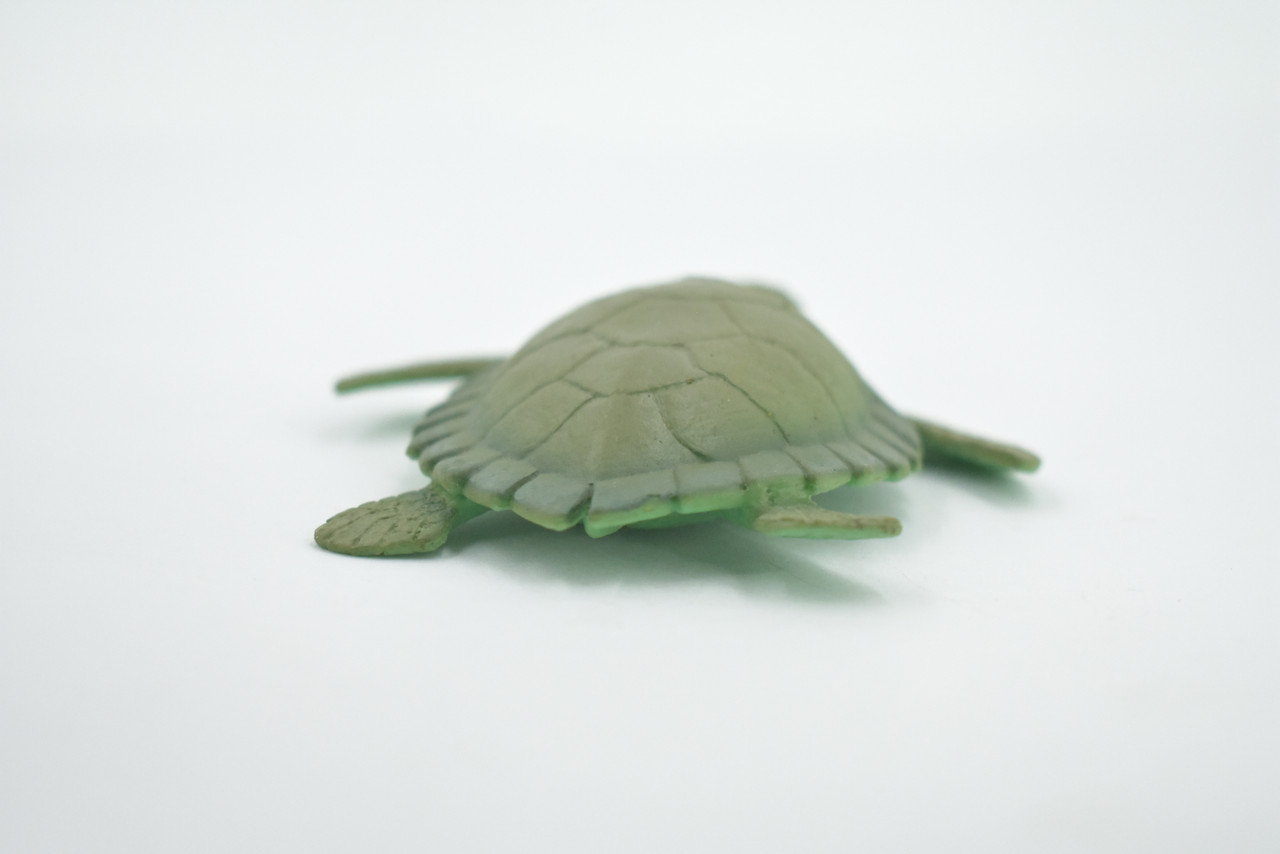 Sea Turtle, Two Tone Color, High Quality, Hand Painted, Rubber Reptile, Realistic, Figure, Model, Toy, Kids, Educational, Gift,     3 3/4"      F6003 B377
