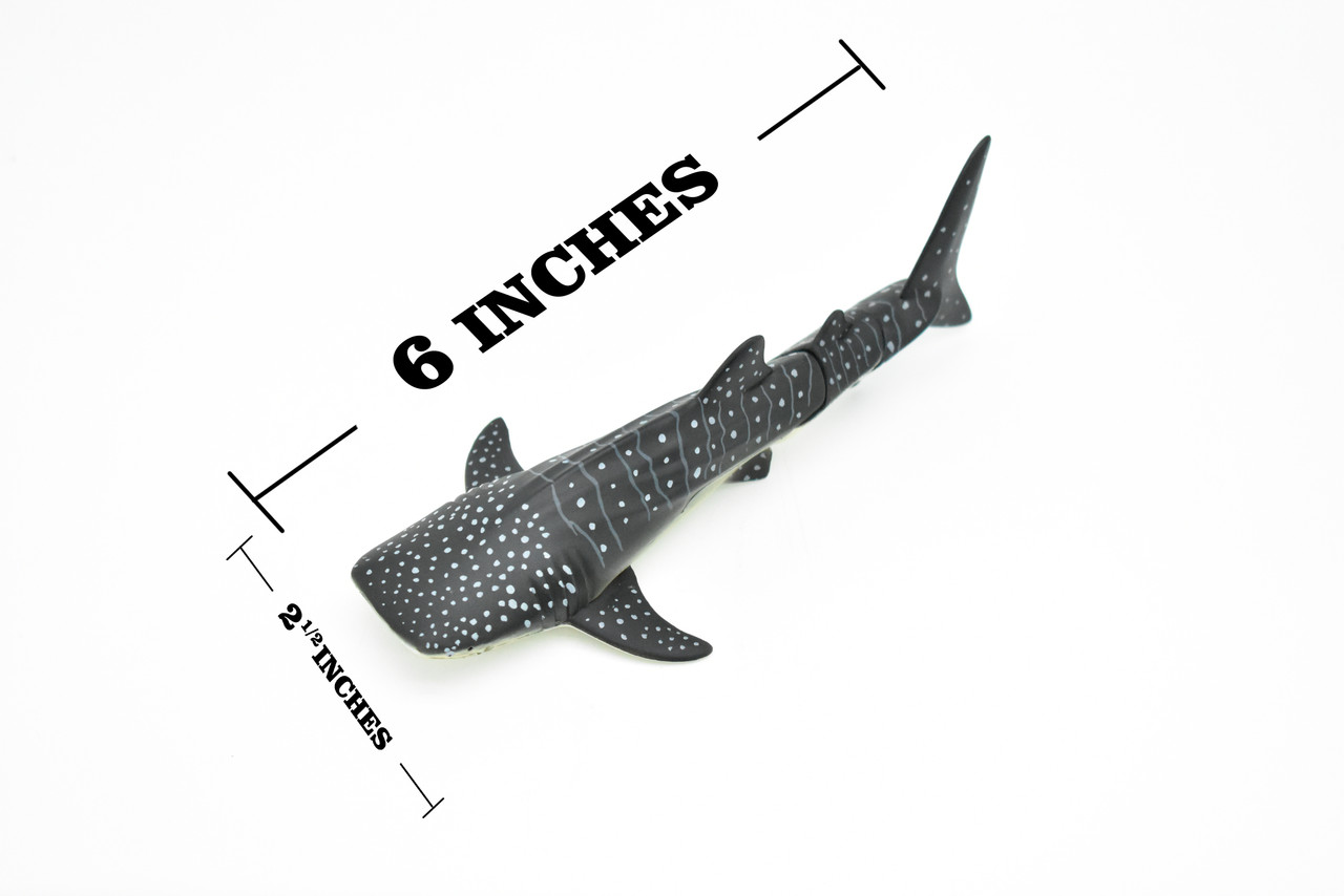 Whale shark, Movable Parts, Realistic Toy Model Plastic Replica, Kids Educational Gift    6"  F088B382