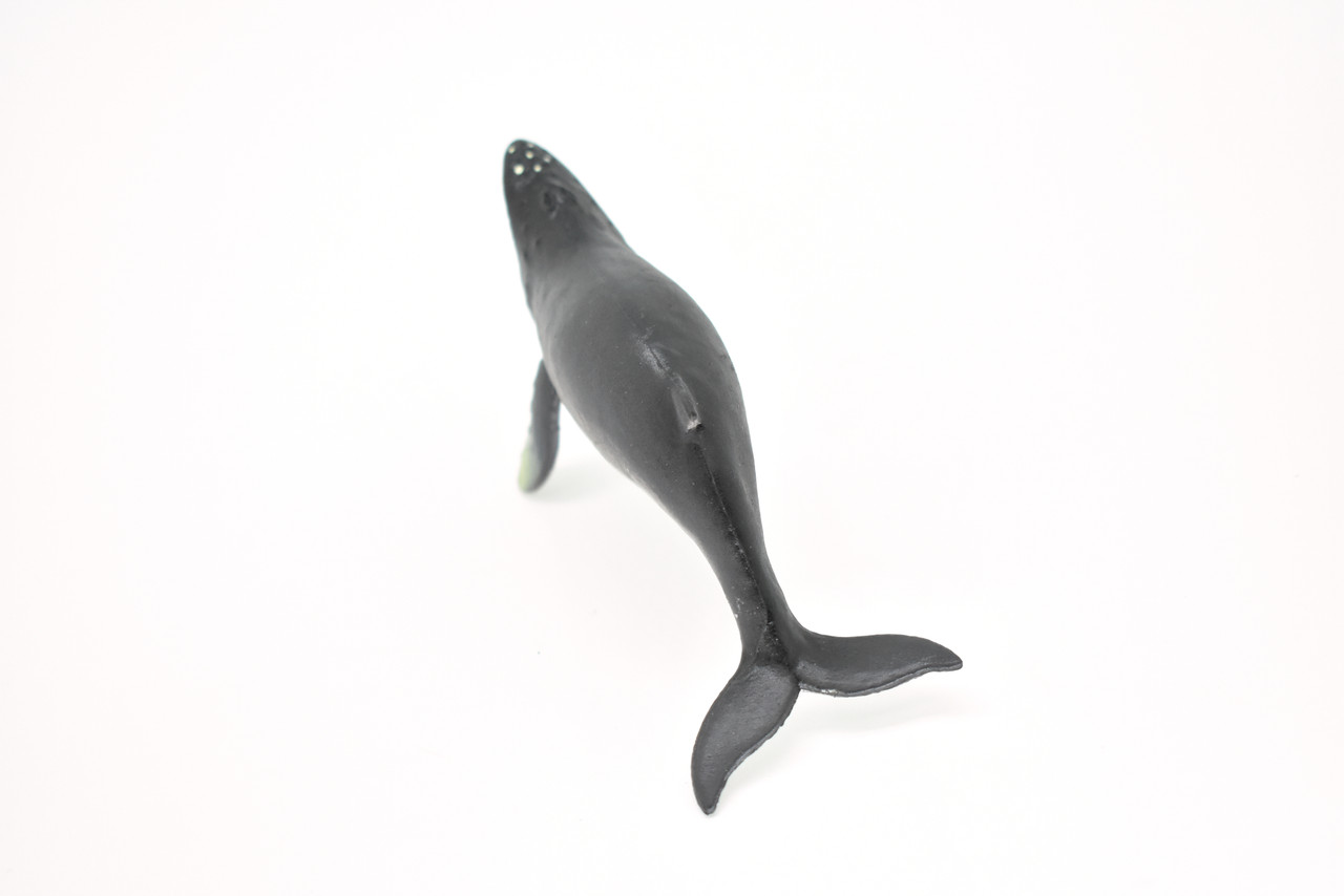 Humpback Whale, Very Nice Rubber Replica   4 1/2"  ~  F6009-B377