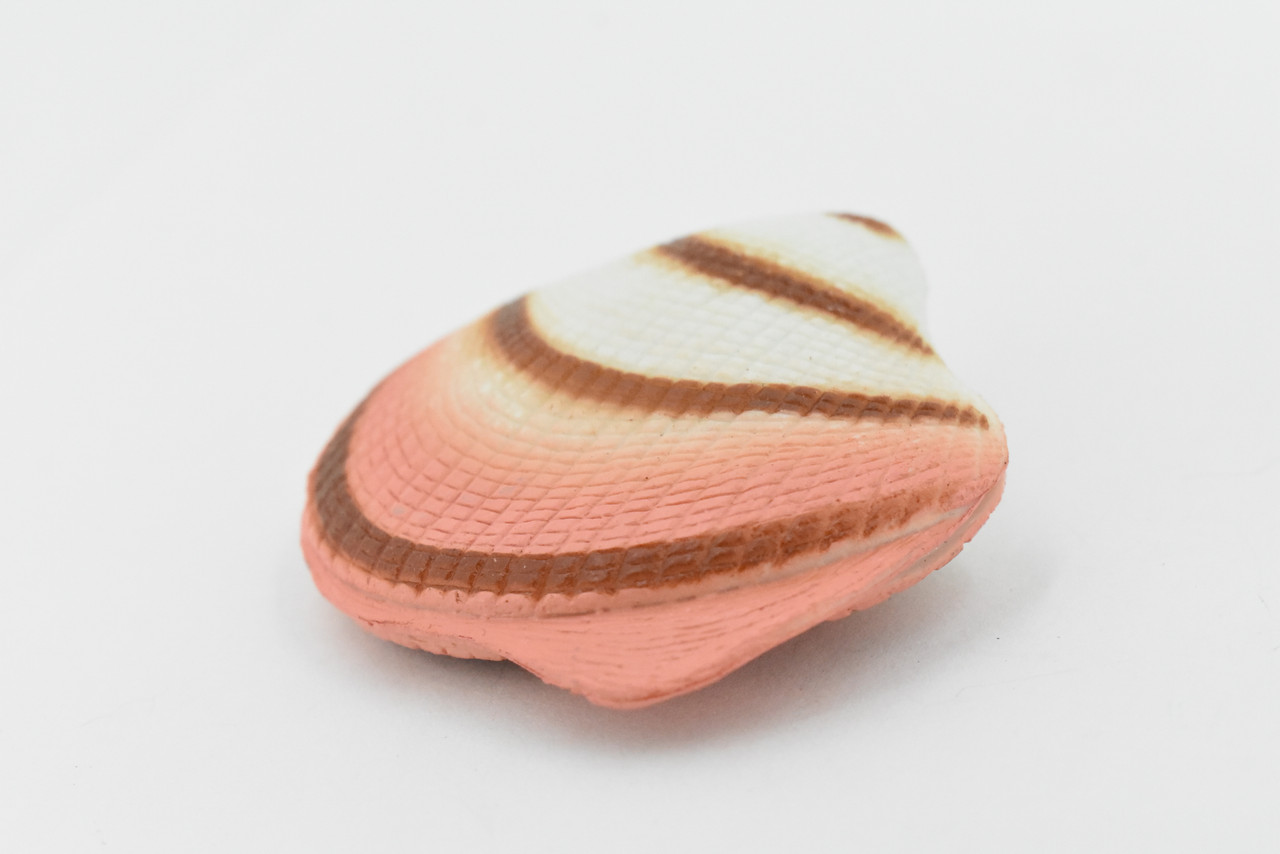 Scallop Shell, Closed, Both Halfs, Soft, Ocean, Sea Life, Plastic Figure, Model, Realistic Replica, Educational, Figurine, Animal, Life Like, Gift,   2 1/2"     F6018 B378