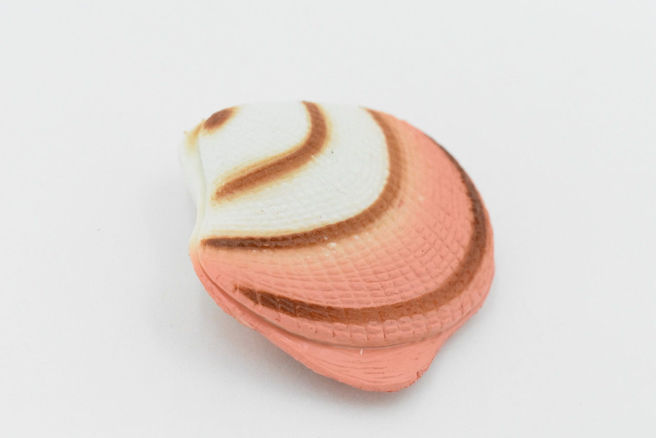 Scallop Shell, Closed, Both Halfs, Soft, Ocean, Sea Life, Plastic Figure, Model, Realistic Replica, Educational, Figurine, Animal, Life Like, Gift,   2 1/2"     F6018 B378