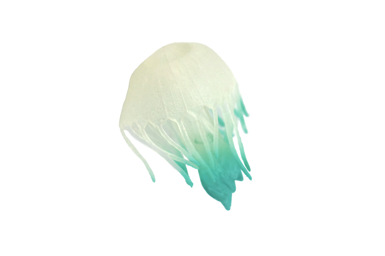 Jellyfish, Sea Jelly, White & Blue, Gelatinous zooplankton, Rubber, Jelly fish, Design, Educational, Figure, Lifelike, Model, Replica, Gift,      3"       F6022 B378