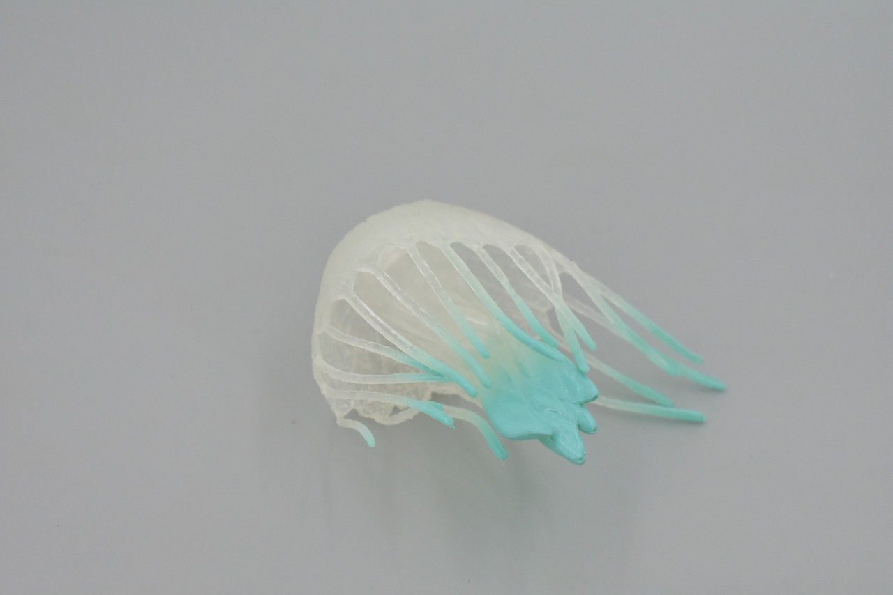 Jellyfish, Sea Jelly, White & Blue, Gelatinous zooplankton, Rubber, Jelly fish, Design, Educational, Figure, Lifelike, Model, Replica, Gift,      3"       F6022 B378