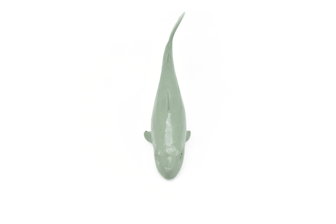 Nurse Shark ~ Plastic Replica 5"W x 2"H ~ F6029-B378