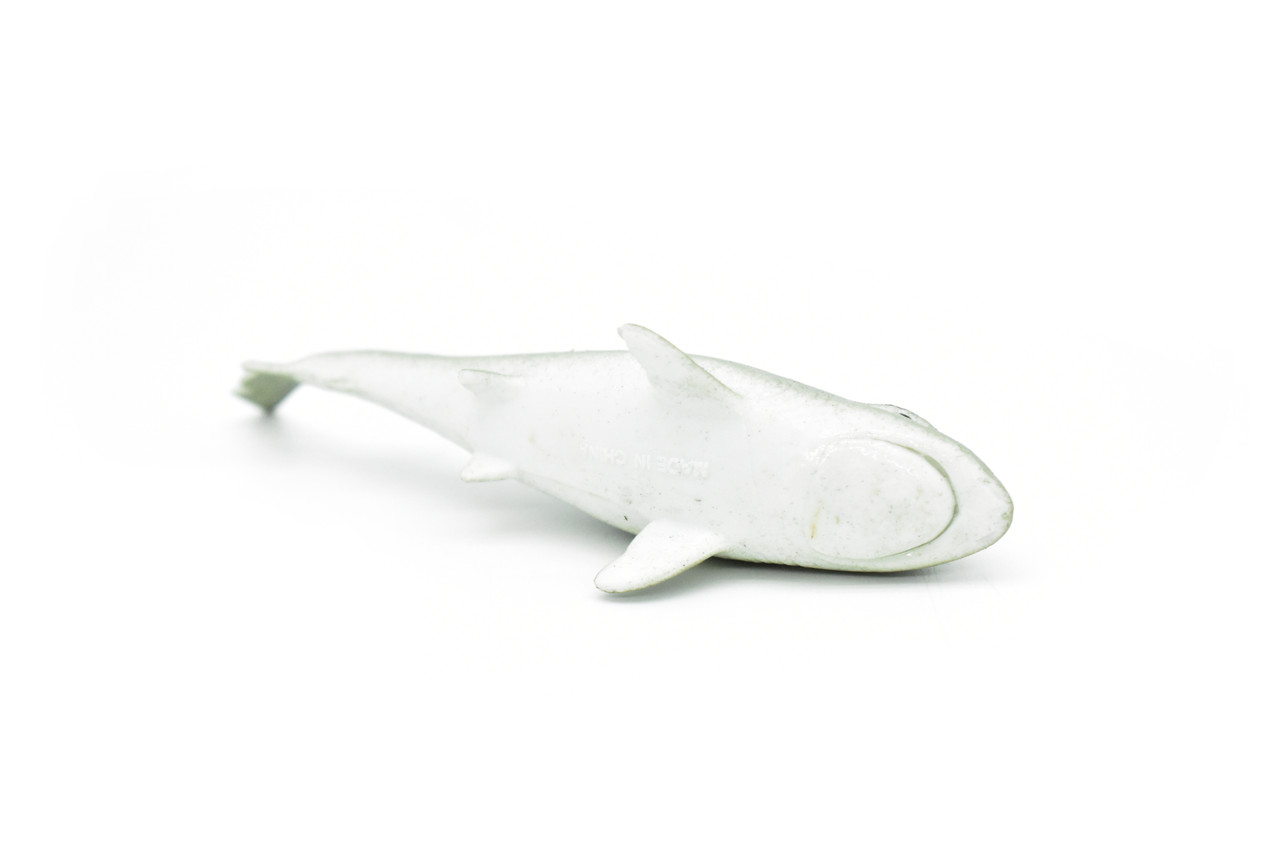 Nurse Shark ~ Plastic Replica 5"W x 2"H ~ F6029-B378