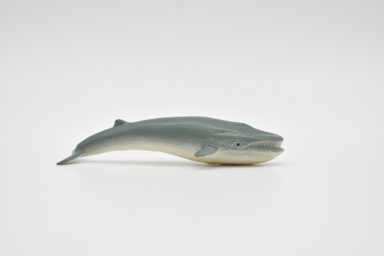 Blue Whale, Realistic Toy Model Plastic Replica Animal, Kids Educational Gift   3"  F0002 B23