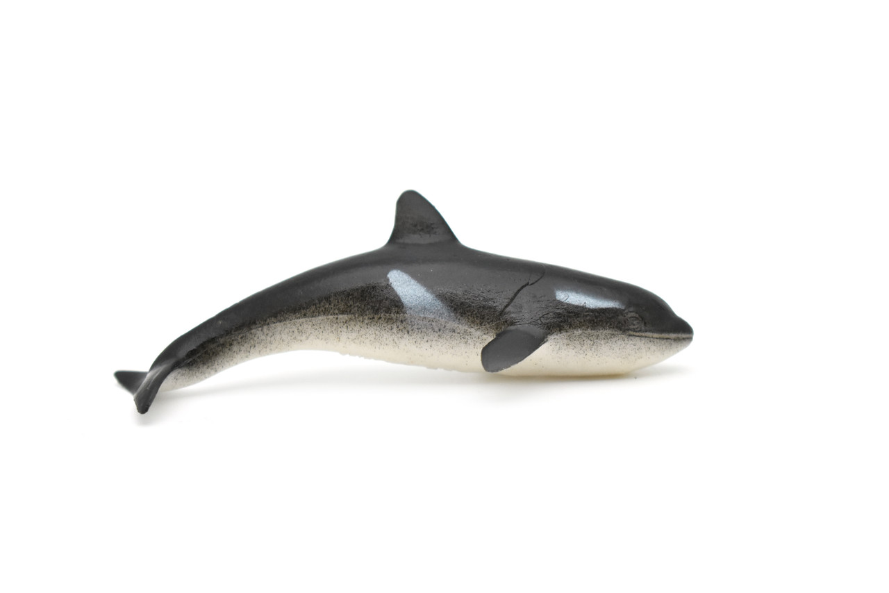 Orca, Killer Whale, Very Nice Plastic Replica    3"    F0003-B23