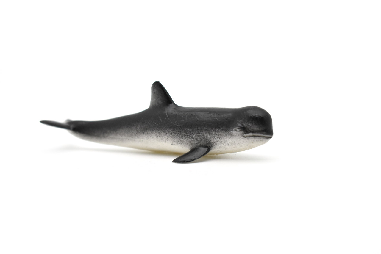 Pilot Whale, Very Nice Plastic Replica   3"    F0004-B23