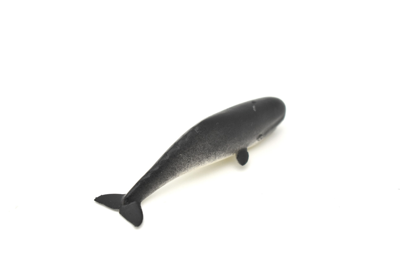 Sperm Whale,  Plastic Replica     3"W x 1"H      F0005-B23