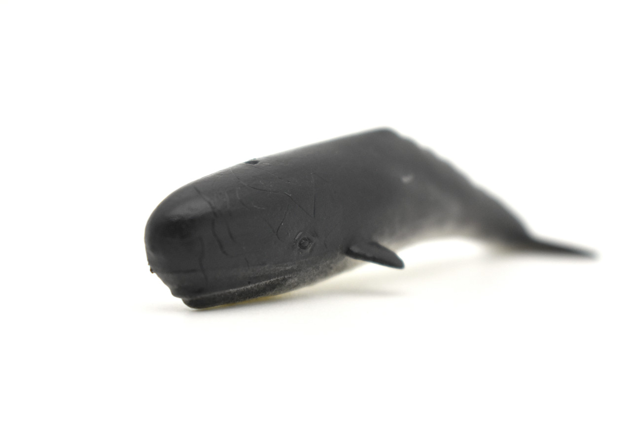 Sperm Whale,  Plastic Replica     3"W x 1"H      F0005-B23