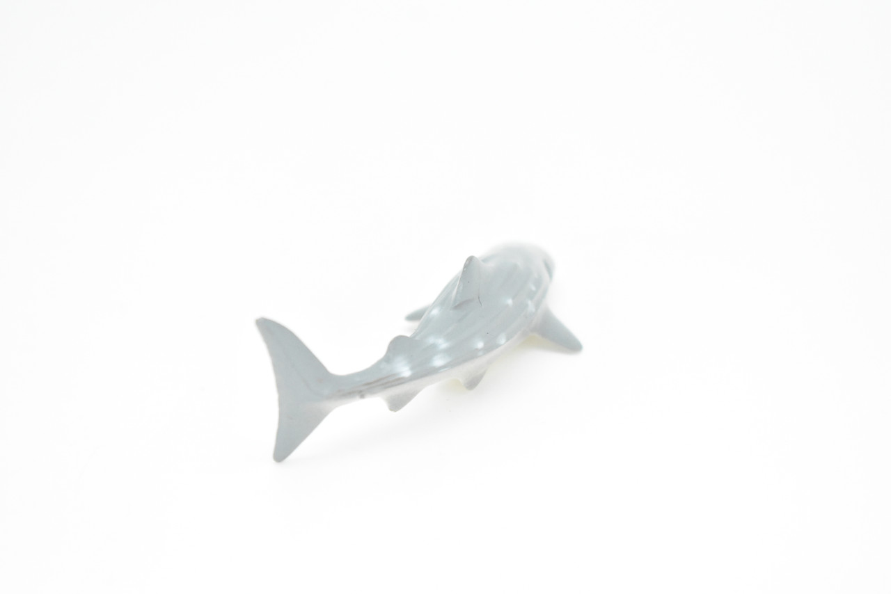 Whale Shark, Curved, Very Nice Plastic Replica    3"   ~    F0007-B23