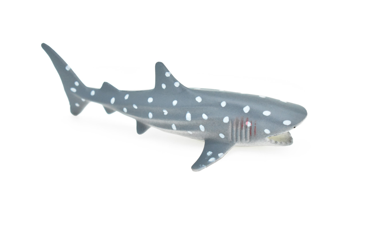 Whale Shark, Very Nice Hollow Plastic Replica    4 1/2"    ~    F0015-B22