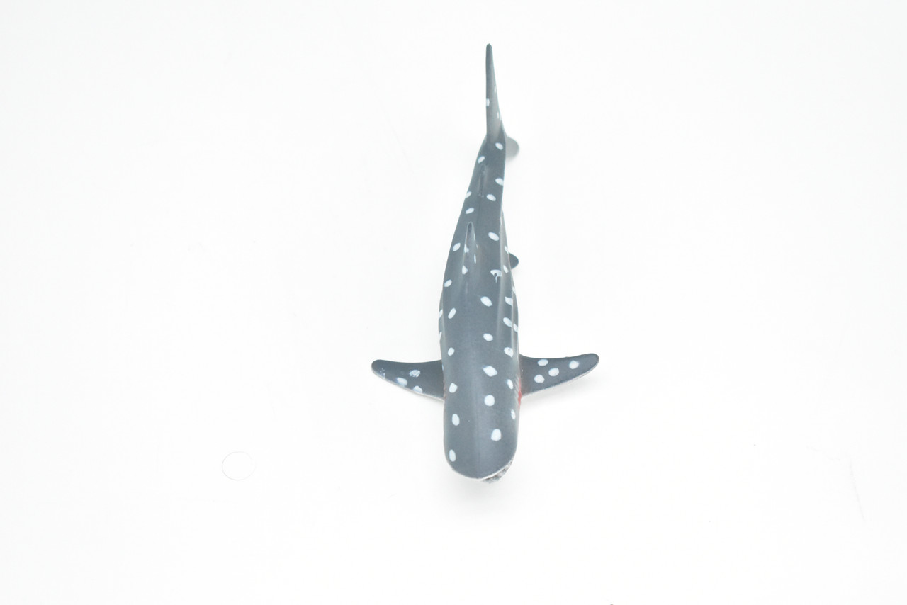 Whale Shark, Very Nice Hollow Plastic Replica    4 1/2"    ~    F0015-B22