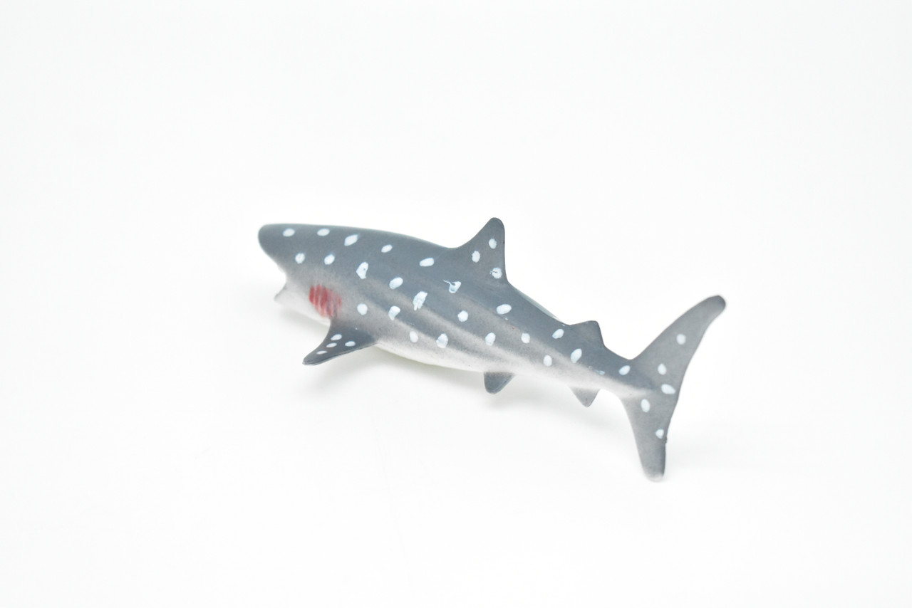 Whale Shark, Very Nice Hollow Plastic Replica    4 1/2"    ~    F0015-B22