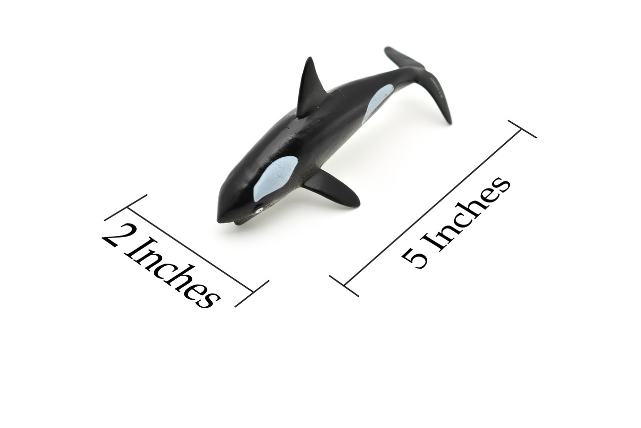 Orca, Killer Whale, Hollow Rubber Replica 5