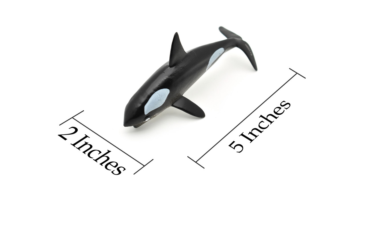 Orca, Killer Whale, Hollow Rubber Replica 5" Long   ~   F0020-B22