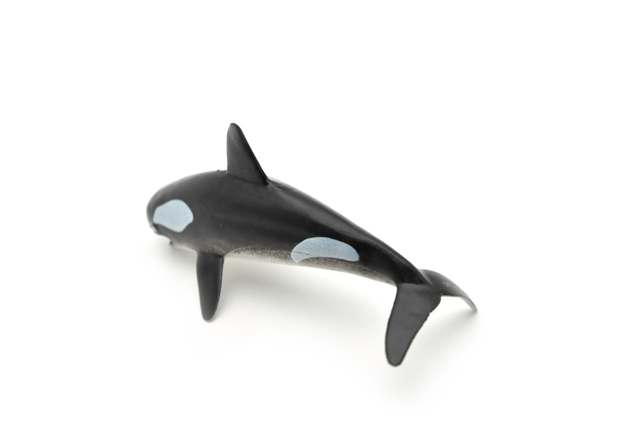 Orca, Killer Whale, Hollow Rubber Replica 5