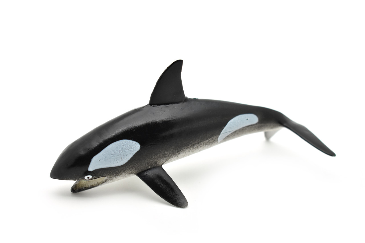 Orca, Killer Whale, Hollow Rubber Replica 5" Long   ~   F0020-B22