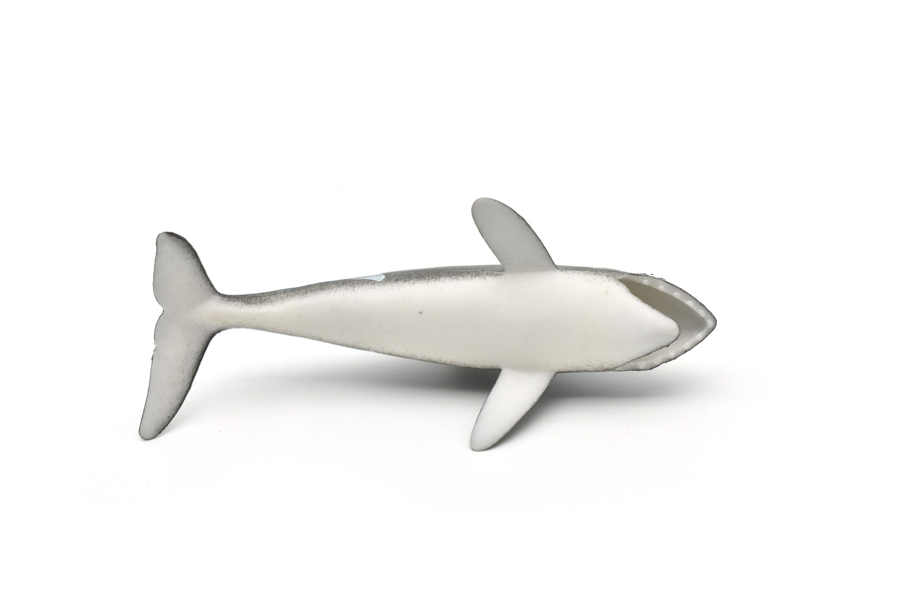 Orca, Killer Whale, Hollow Rubber Replica 5" Long   ~   F0020-B22