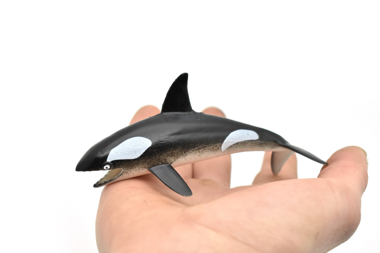 Orca, Killer Whale, Hollow Rubber Replica 5" Long   ~   F0020-B22