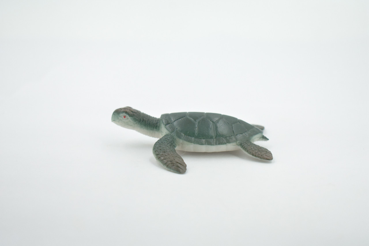 Sea Turtle, Two Tone Color, High Quality, Hand Painted, Rubber Reptile, Realistic, Figure, Model, Toy, Kids, Educational, Gift,     3"   F0024 B22