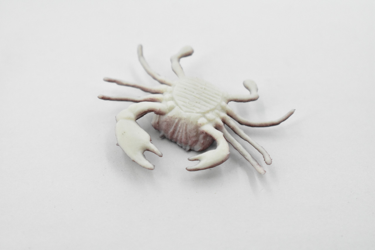 Crab, Small Rock Crab, Rubber, Crustaceans, Educational, Realistic, Hand Painted, Figure, Lifelike Figurine, Replica, Gift,     2"        F0035 B123