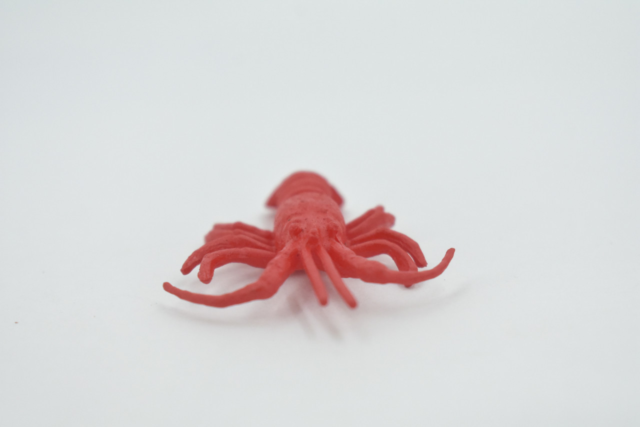 Lobster, California spiny lobster, Realistic Rubber Crustacean Design,  Educational, Figure, Lifelike, Model, Replica, Gift    2 1/2"     F0036 B123