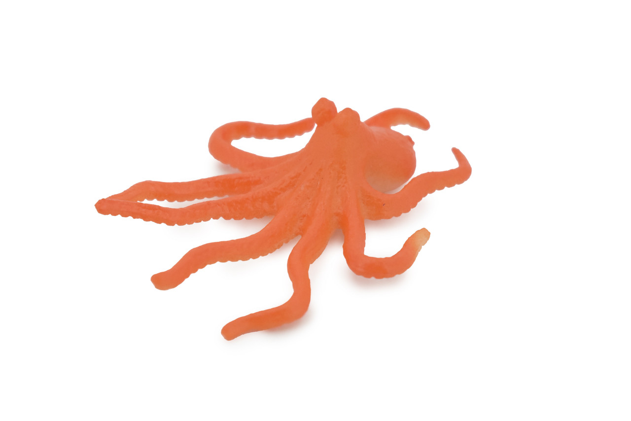 Octopus,  Octopuses, Rubber Octopodes, Saltwater, Realistic, Rubber, Design, Educational, Figure, Lifelike, Model, Replica, Gift    2 1/2"    F0037 B123