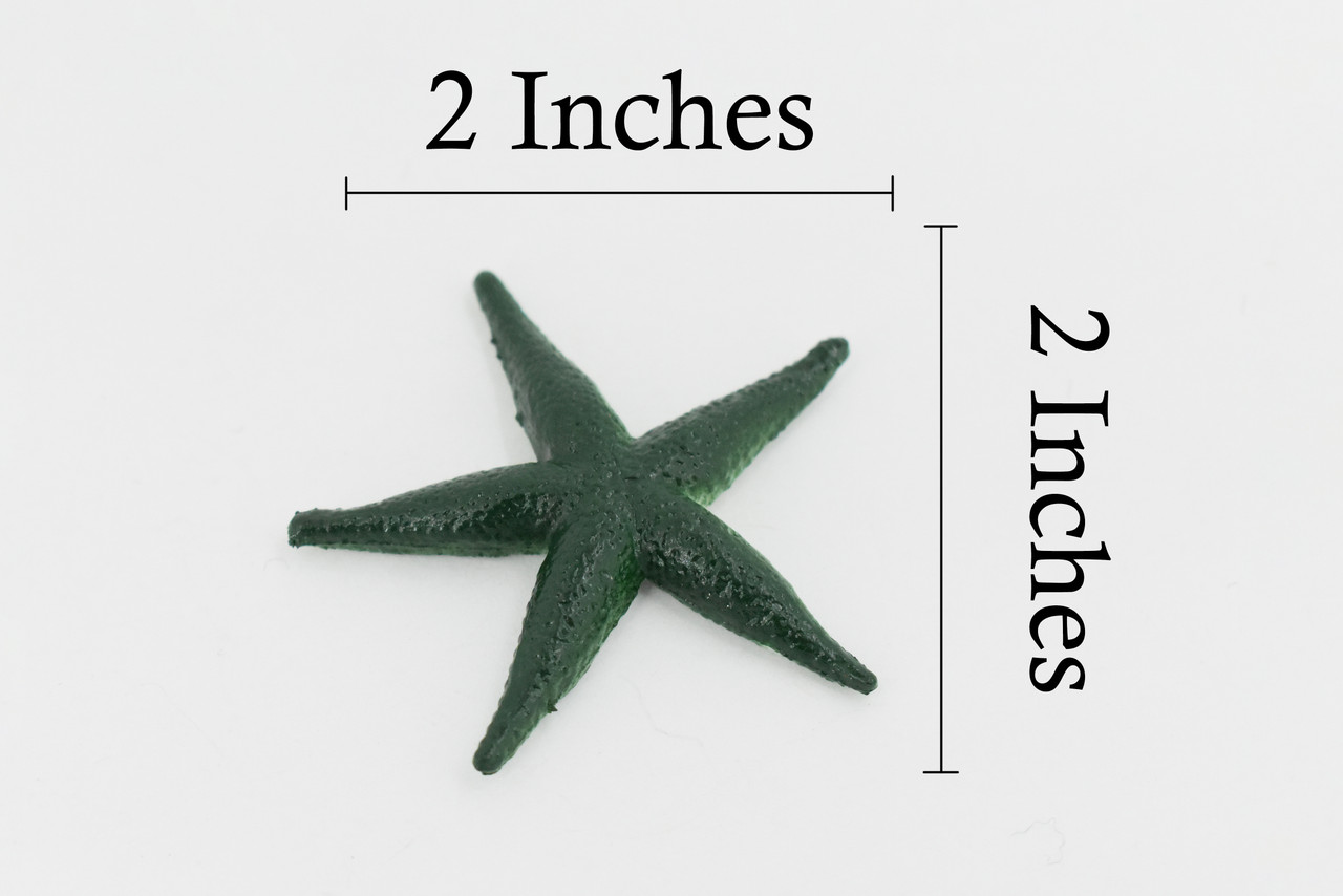 Starfish, Green, Sea Star, Echinoderms, Asteroidea, Ocean, Sea Life, Plastic Figure, Model, Realistic Replica, Educational Toy,  Life Like, Gift,     2 "      F0038 B123