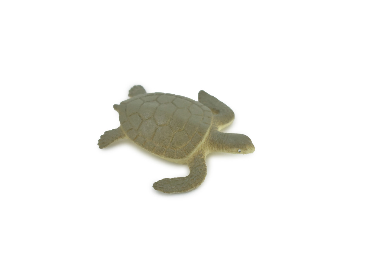 Sea Turtle, Hatchling, Plastic Design, Realistic, Figure, Reptile, Educational, Lifelike, Model, Figurine, Replica, Toy, Kids, Gift,      2"       F0039 B123