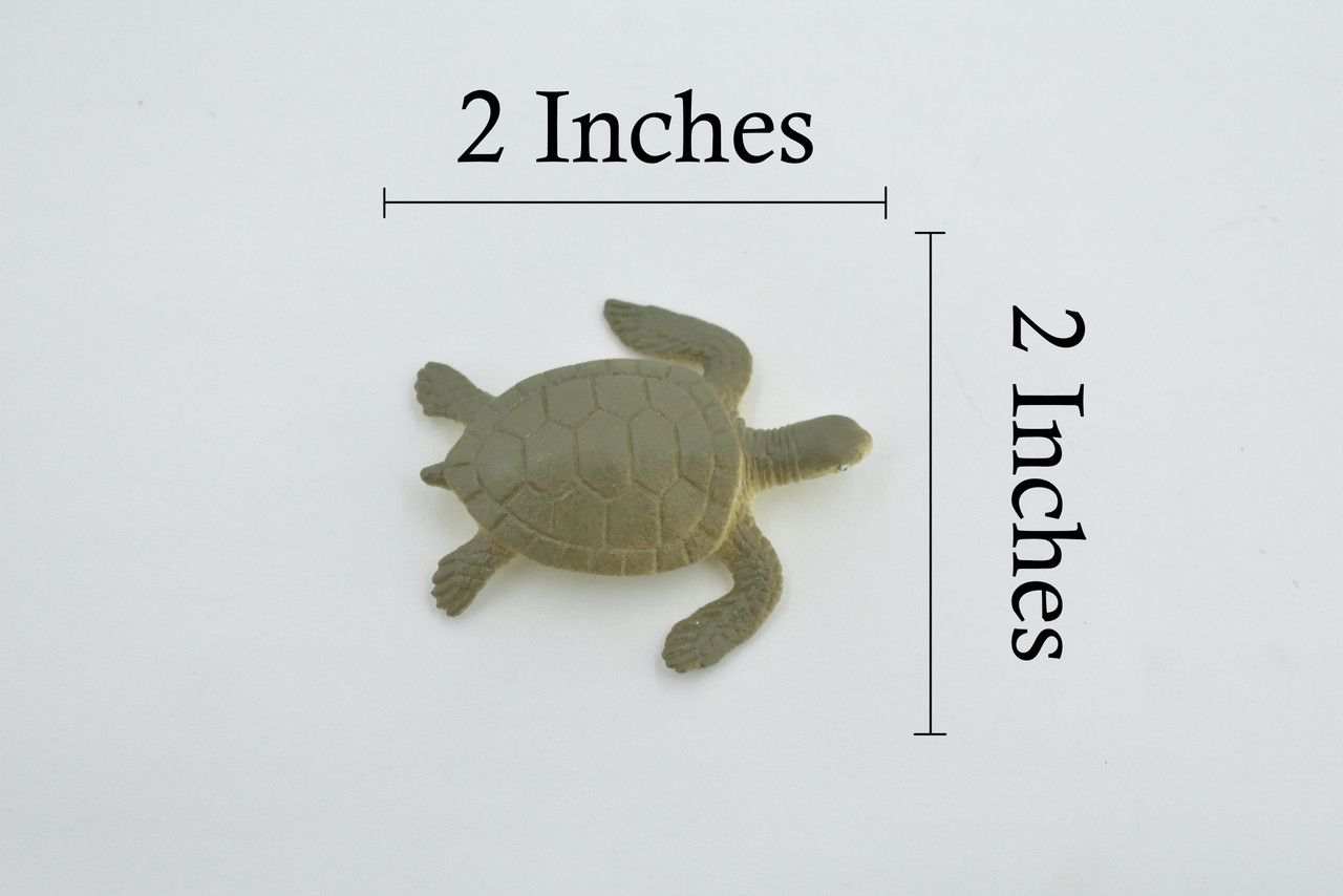 Sea Turtle, Hatchling, Plastic Design, Realistic, Figure, Reptile, Educational, Lifelike, Model, Figurine, Replica, Toy, Kids, Gift,      2"       F0039 B123