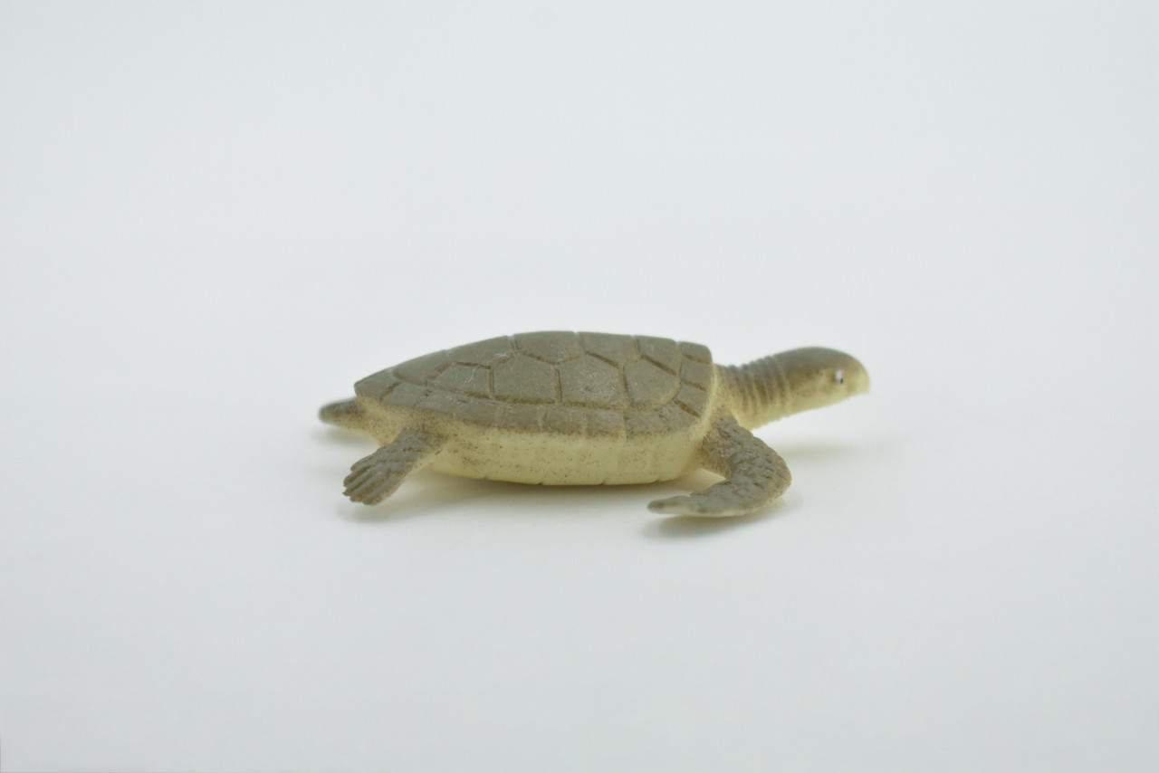 Sea Turtle, Hatchling, Plastic Design, Realistic, Figure, Reptile, Educational, Lifelike, Model, Figurine, Replica, Toy, Kids, Gift,      2"       F0039 B123