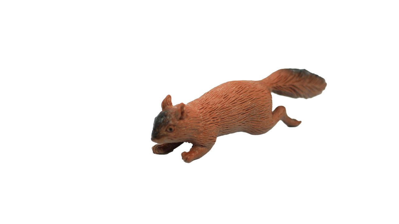 Squirrel, Very Nice Plastic Animal, Educational, Realistic Figure, Lifelike Model, Figurine, Replica, Gift,      3 Inches.      F1016 B14 
