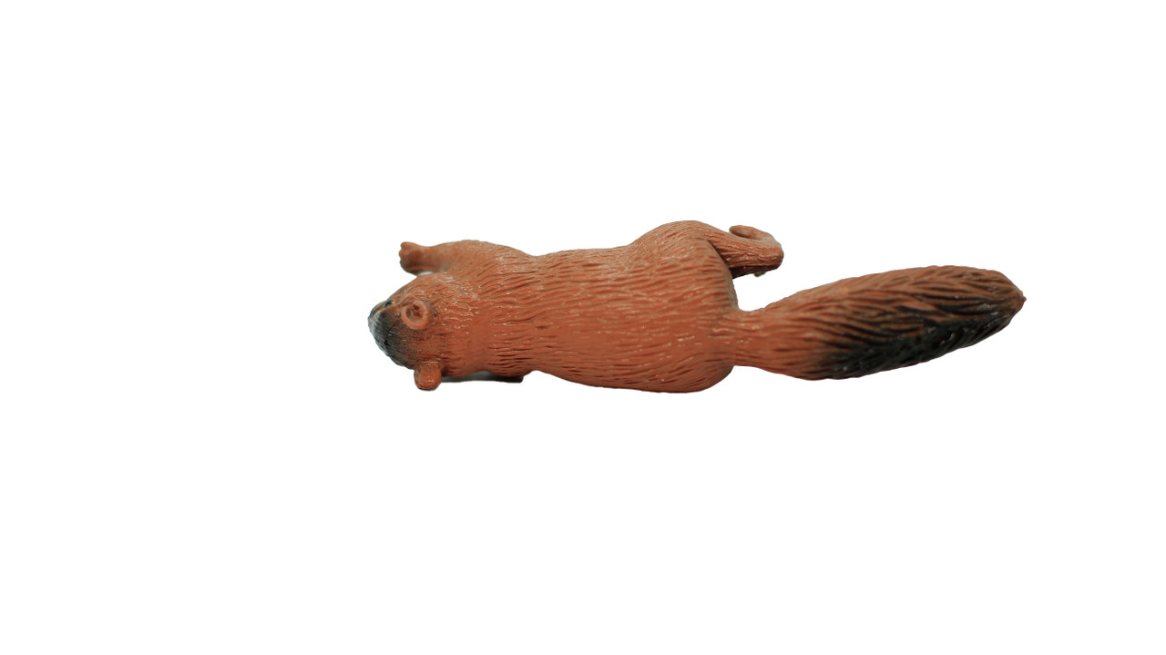Squirrel, Very Nice Plastic Animal, Educational, Realistic Figure, Lifelike Model, Figurine, Replica, Gift,      3 Inches.      F1016 B14 
