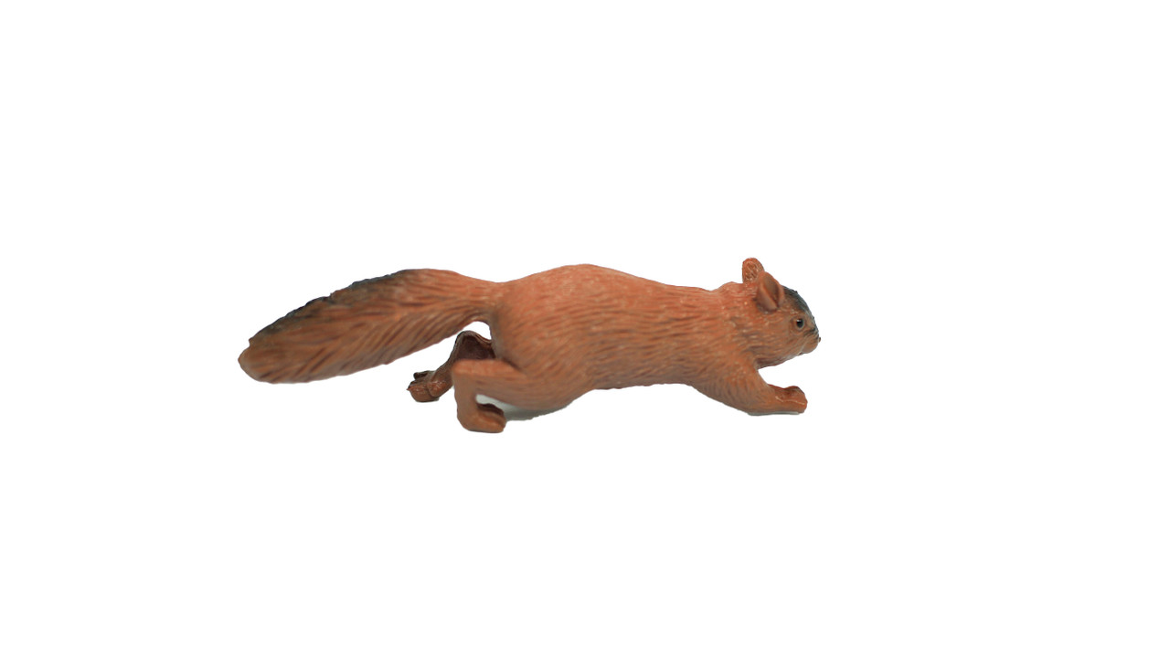 Squirrel, Very Nice Plastic Animal, Educational, Realistic Figure, Lifelike Model, Figurine, Replica, Gift,      3 Inches.      F1016 B14 
