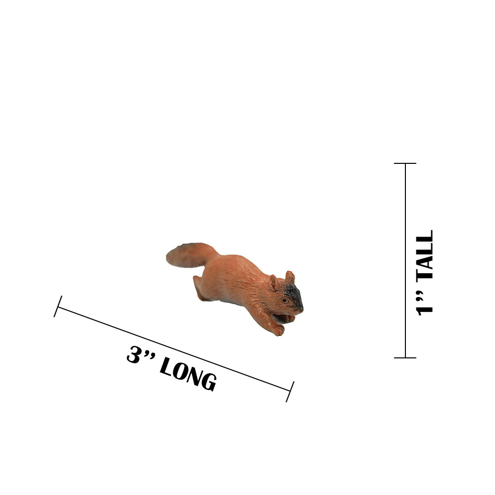 Squirrel, Very Nice Plastic Animal, Educational, Realistic Figure, Lifelike Model, Figurine, Replica, Gift,      3 Inches.      F1016 B14 
