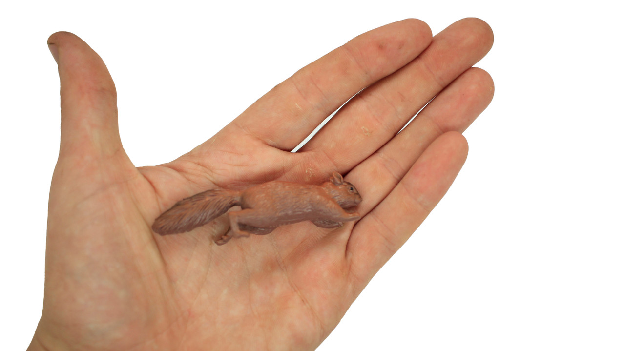 Squirrel, Very Nice Plastic Animal, Educational, Realistic Figure, Lifelike Model, Figurine, Replica, Gift,      3 Inches.      F1016 B14 
