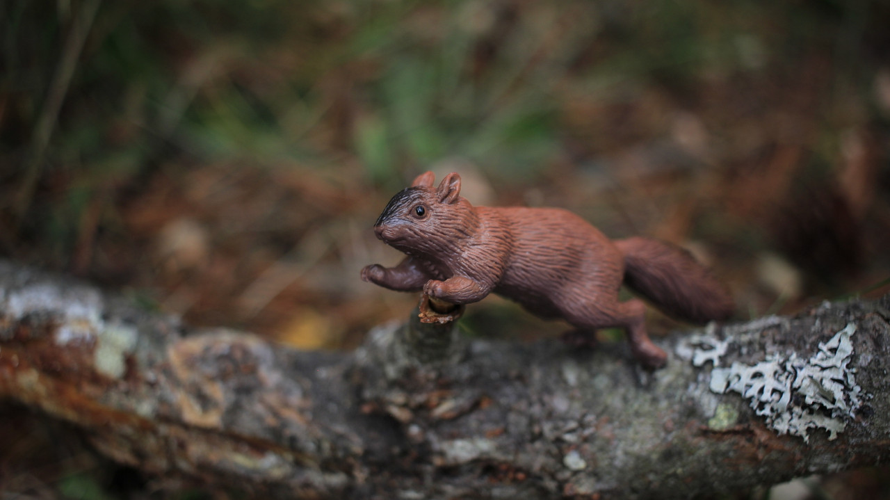 Squirrel, Very Nice Plastic Animal, Educational, Realistic Figure, Lifelike Model, Figurine, Replica, Gift,      3 Inches.      F1016 B14 
