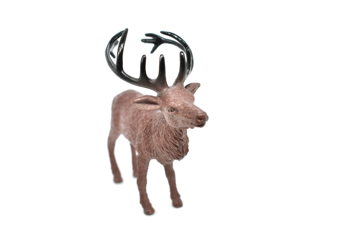 ELK HEAD