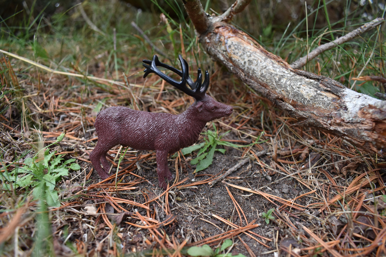 Elk, Wapiti, Very Nice Plastic Animal, Educational, Toy, Kids, Realistic Figure, Lifelike Model, Figurine, Replica, Gift,    4 Inches
