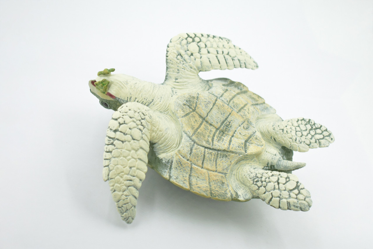 Sea Turtle, Kemp's Ridley Sea Turtle, Museum Quality, Hand Painted, Soft Rubber, Reptile, Realistic, Figure, Toy, Kids, Educational, Gift,       7"      F3382 B217