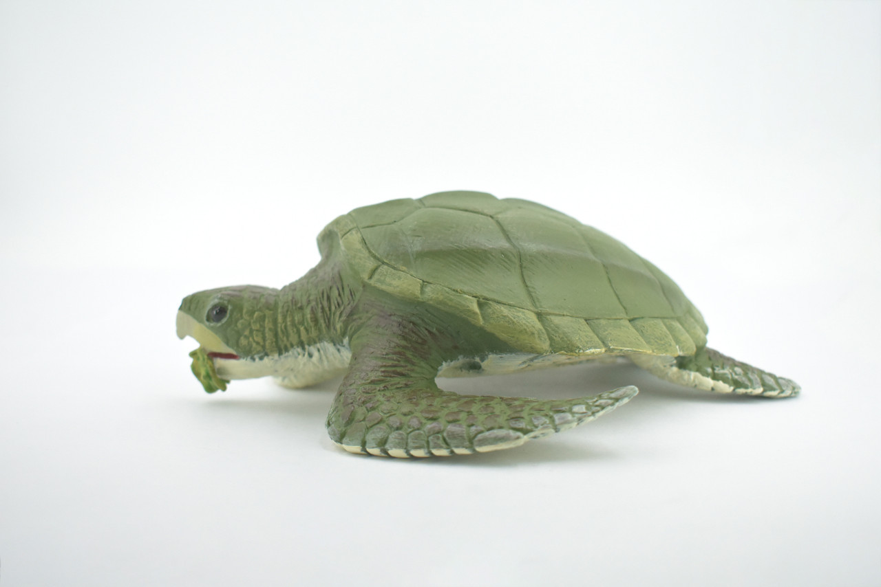 Sea Turtle, Kemp's Ridley Sea Turtle, Museum Quality, Hand Painted, Soft Rubber, Reptile, Realistic, Figure, Toy, Kids, Educational, Gift,       7"      F3382 B217